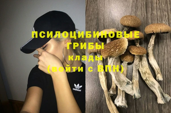 а пвп мука Арсеньев