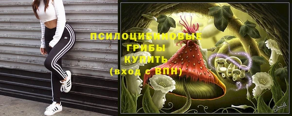 а пвп мука Арсеньев